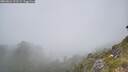 ./images/calvert/foggy-cove/20260621/foggy-cove20260621_131501M.jpg