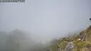 ./images/calvert/foggy-cove/20260621/foggy-cove20260621_132501M.jpg