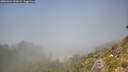 ./images/calvert/foggy-cove/20260621/foggy-cove20260621_133001M.jpg