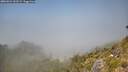 ./images/calvert/foggy-cove/20260621/foggy-cove20260621_133501M.jpg