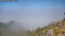 ./images/calvert/foggy-cove/20260621/foggy-cove20260621_134002M.jpg