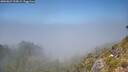 ./images/calvert/foggy-cove/20260621/foggy-cove20260621_134501M.jpg