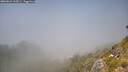 ./images/calvert/foggy-cove/20260621/foggy-cove20260621_135001M.jpg