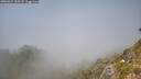 ./images/calvert/foggy-cove/20260621/foggy-cove20260621_135501M.jpg