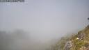 ./images/calvert/foggy-cove/20260621/foggy-cove20260621_140502M.jpg
