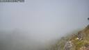 ./images/calvert/foggy-cove/20260621/foggy-cove20260621_141001M.jpg