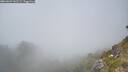 ./images/calvert/foggy-cove/20260621/foggy-cove20260621_141501M.jpg