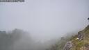./images/calvert/foggy-cove/20260621/foggy-cove20260621_142002M.jpg