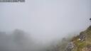 ./images/calvert/foggy-cove/20260621/foggy-cove20260621_143001M.jpg