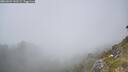 ./images/calvert/foggy-cove/20260621/foggy-cove20260621_143501M.jpg