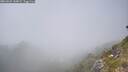 ./images/calvert/foggy-cove/20260621/foggy-cove20260621_144002M.jpg
