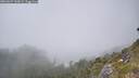 ./images/calvert/foggy-cove/20260621/foggy-cove20260621_144501M.jpg