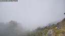 ./images/calvert/foggy-cove/20260621/foggy-cove20260621_145001M.jpg