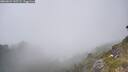 ./images/calvert/foggy-cove/20260621/foggy-cove20260621_145501M.jpg