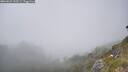 ./images/calvert/foggy-cove/20260621/foggy-cove20260621_150501M.jpg
