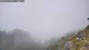 ./images/calvert/foggy-cove/20260621/foggy-cove20260621_151001M.jpg