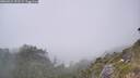 ./images/calvert/foggy-cove/20260621/foggy-cove20260621_151502M.jpg