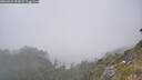 ./images/calvert/foggy-cove/20260621/foggy-cove20260621_152002M.jpg