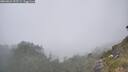 ./images/calvert/foggy-cove/20260621/foggy-cove20260621_152501M.jpg