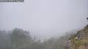 ./images/calvert/foggy-cove/20260621/foggy-cove20260621_153001M.jpg