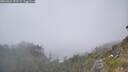 ./images/calvert/foggy-cove/20260621/foggy-cove20260621_153502M.jpg