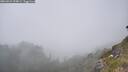 ./images/calvert/foggy-cove/20260621/foggy-cove20260621_154001M.jpg