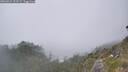 ./images/calvert/foggy-cove/20260621/foggy-cove20260621_154502M.jpg