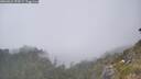 ./images/calvert/foggy-cove/20260621/foggy-cove20260621_155001M.jpg
