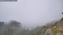 ./images/calvert/foggy-cove/20260621/foggy-cove20260621_155501M.jpg