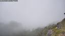 ./images/calvert/foggy-cove/20260621/foggy-cove20260621_160002M.jpg