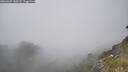 ./images/calvert/foggy-cove/20260621/foggy-cove20260621_160501M.jpg