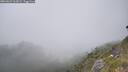 ./images/calvert/foggy-cove/20260621/foggy-cove20260621_161001M.jpg