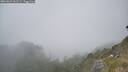 ./images/calvert/foggy-cove/20260621/foggy-cove20260621_161501M.jpg
