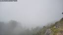 ./images/calvert/foggy-cove/20260621/foggy-cove20260621_162001M.jpg
