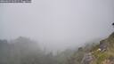 ./images/calvert/foggy-cove/20260621/foggy-cove20260621_162501M.jpg
