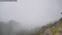 ./images/calvert/foggy-cove/20260621/foggy-cove20260621_163001M.jpg