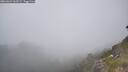 ./images/calvert/foggy-cove/20260621/foggy-cove20260621_163501M.jpg