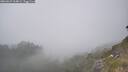 ./images/calvert/foggy-cove/20260621/foggy-cove20260621_164002M.jpg
