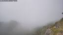 ./images/calvert/foggy-cove/20260621/foggy-cove20260621_164501M.jpg