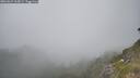 ./images/calvert/foggy-cove/20260621/foggy-cove20260621_165001M.jpg