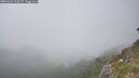 ./images/calvert/foggy-cove/20260621/foggy-cove20260621_165501M.jpg