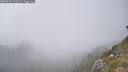 ./images/calvert/foggy-cove/20260621/foggy-cove20260621_170501M.jpg