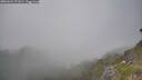 ./images/calvert/foggy-cove/20260621/foggy-cove20260621_171001M.jpg