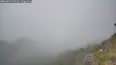 ./images/calvert/foggy-cove/20260621/foggy-cove20260621_171502M.jpg