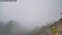 ./images/calvert/foggy-cove/20260621/foggy-cove20260621_172001M.jpg