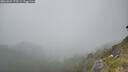 ./images/calvert/foggy-cove/20260621/foggy-cove20260621_172501M.jpg