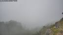 ./images/calvert/foggy-cove/20260621/foggy-cove20260621_173002M.jpg