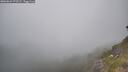 ./images/calvert/foggy-cove/20260621/foggy-cove20260621_173501M.jpg
