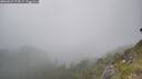 ./images/calvert/foggy-cove/20260621/foggy-cove20260621_174501M.jpg