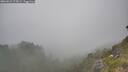 ./images/calvert/foggy-cove/20260621/foggy-cove20260621_175001M.jpg